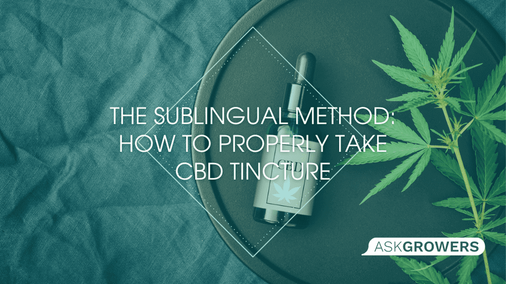 How to Take CBD Tincture Sublingually A Comprehensive Guide AskGrowers